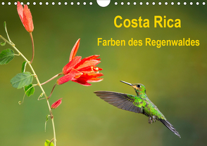 Costa Rica – Farben des Regenwaldes (Wandkalender 2020 DIN A4 quer) von Akrema-Photography