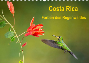 Costa Rica – Farben des Regenwaldes (Wandkalender 2022 DIN A2 quer) von Akrema-Photography