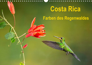 Costa Rica – Farben des Regenwaldes (Wandkalender 2022 DIN A3 quer) von Akrema-Photography