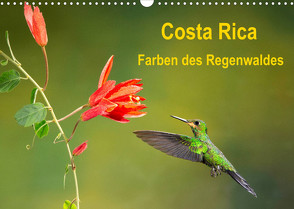 Costa Rica – Farben des Regenwaldes (Wandkalender 2023 DIN A3 quer) von Akrema-Photography