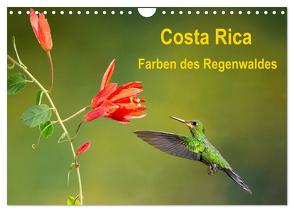 Costa Rica – Farben des Regenwaldes (Wandkalender 2024 DIN A4 quer), CALVENDO Monatskalender von Akrema-Photography,  Akrema-Photography