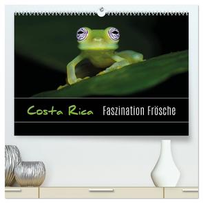 Costa Rica – Faszination Frösche (hochwertiger Premium Wandkalender 2024 DIN A2 quer), Kunstdruck in Hochglanz von Eßer,  Kevin