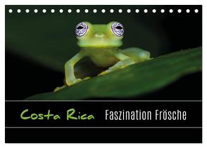 Costa Rica – Faszination Frösche (Tischkalender 2024 DIN A5 quer), CALVENDO Monatskalender von Eßer,  Kevin