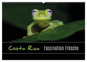 Costa Rica – Faszination Frösche (Wandkalender 2024 DIN A2 quer), CALVENDO Monatskalender von Eßer,  Kevin