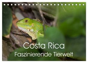 Costa Rica. Faszinierende Tierwelt (Tischkalender 2024 DIN A5 quer), CALVENDO Monatskalender von Gerber,  Thomas