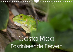 Costa Rica. Faszinierende Tierwelt (Wandkalender 2023 DIN A4 quer) von Gerber,  Thomas