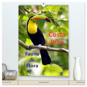 Costa Rica – Fauna & Flora (hochwertiger Premium Wandkalender 2024 DIN A2 hoch), Kunstdruck in Hochglanz von Stamm,  Dirk