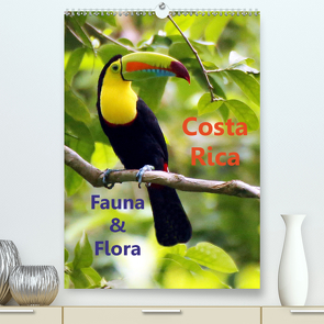Costa Rica – Fauna & Flora (Premium, hochwertiger DIN A2 Wandkalender 2021, Kunstdruck in Hochglanz) von Stamm,  Dirk