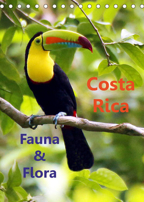 Costa Rica – Fauna & Flora (Tischkalender 2023 DIN A5 hoch) von Stamm,  Dirk