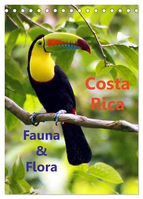 Costa Rica – Fauna & Flora (Tischkalender 2024 DIN A5 hoch), CALVENDO Monatskalender von Stamm,  Dirk