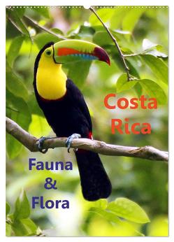 Costa Rica – Fauna & Flora (Wandkalender 2024 DIN A2 hoch), CALVENDO Monatskalender von Stamm,  Dirk