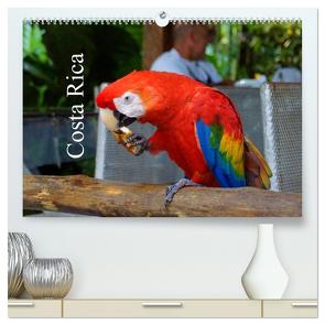 Costa Rica (hochwertiger Premium Wandkalender 2024 DIN A2 quer), Kunstdruck in Hochglanz von M.Polok,  M.Polok