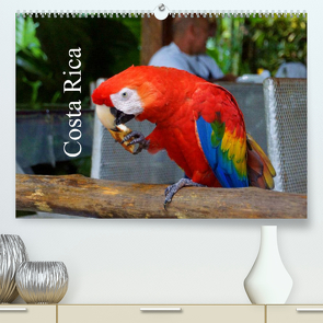 Costa Rica (Premium, hochwertiger DIN A2 Wandkalender 2023, Kunstdruck in Hochglanz) von M.Polok