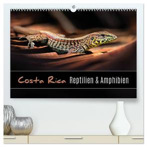 Costa Rica – Reptilien und Amphibien (hochwertiger Premium Wandkalender 2024 DIN A2 quer), Kunstdruck in Hochglanz von Eßer,  Kevin