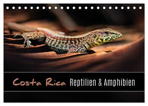 Costa Rica – Reptilien und Amphibien (Tischkalender 2024 DIN A5 quer), CALVENDO Monatskalender von Eßer,  Kevin