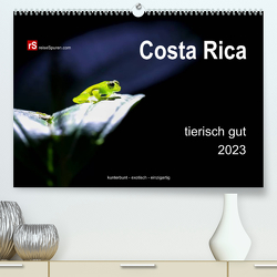 Costa Rica tierisch gut 2023 (Premium, hochwertiger DIN A2 Wandkalender 2023, Kunstdruck in Hochglanz) von Bergwitz,  Uwe