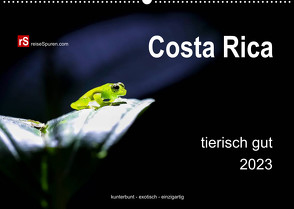 Costa Rica tierisch gut 2023 (Wandkalender 2023 DIN A2 quer) von Bergwitz,  Uwe