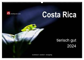 Costa Rica tierisch gut 2024 (Wandkalender 2024 DIN A2 quer), CALVENDO Monatskalender von Bergwitz,  Uwe