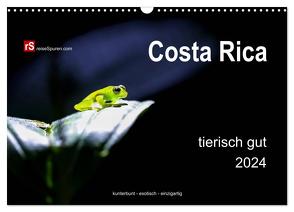 Costa Rica tierisch gut 2024 (Wandkalender 2024 DIN A3 quer), CALVENDO Monatskalender von Bergwitz,  Uwe