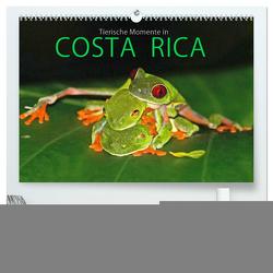 COSTA RICA – Tierische Momente (hochwertiger Premium Wandkalender 2024 DIN A2 quer), Kunstdruck in Hochglanz von Matziol,  Michael