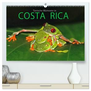 COSTA RICA – Tierische Momente (hochwertiger Premium Wandkalender 2024 DIN A2 quer), Kunstdruck in Hochglanz von Matziol,  Michael