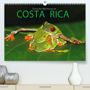 COSTA RICA – Tierische Momente (Premium, hochwertiger DIN A2 Wandkalender 2020, Kunstdruck in Hochglanz) von Matziol,  Michael