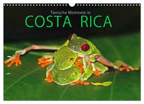 COSTA RICA – Tierische Momente (Wandkalender 2024 DIN A3 quer), CALVENDO Monatskalender von Matziol,  Michael