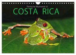 COSTA RICA – Tierische Momente (Wandkalender 2024 DIN A4 quer), CALVENDO Monatskalender von Matziol,  Michael