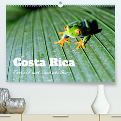 Costa Rica – Tierwelt und Landschaften (Premium, hochwertiger DIN A2 Wandkalender 2023, Kunstdruck in Hochglanz) von Colombo,  Matteo