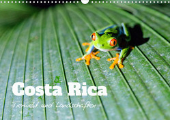 Costa Rica – Tierwelt und Landschaften (Wandkalender 2023 DIN A3 quer) von Colombo,  Matteo