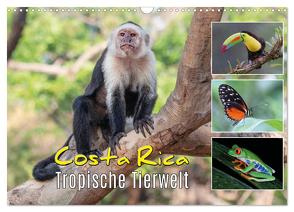 Costa Rica – Tropische Tierwelt (Wandkalender 2024 DIN A3 quer), CALVENDO Monatskalender von Eßer,  Kevin