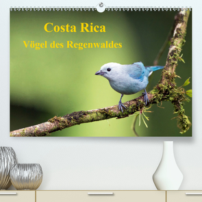 Costa Rica – Vögel des Regenwaldes (Premium, hochwertiger DIN A2 Wandkalender 2020, Kunstdruck in Hochglanz) von Akrema-Photography