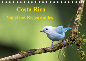 Costa Rica – Vögel des Regenwaldes (Tischkalender 2021 DIN A5 quer) von Akrema-Photography