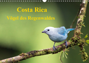 Costa Rica – Vögel des Regenwaldes (Wandkalender 2021 DIN A3 quer) von Akrema-Photography