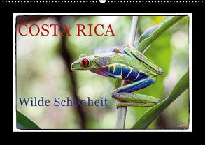 Costa Rica – Wilde Schönheit (Wandkalender 2018 DIN A2 quer) von Adams,  Heribert