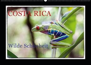 Costa Rica – Wilde Schönheit (Wandkalender 2019 DIN A2 quer) von Adams,  Heribert