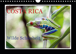 Costa Rica – Wilde Schönheit (Wandkalender 2020 DIN A4 quer) von Adams,  Heribert