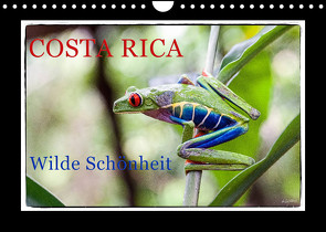 Costa Rica – Wilde Schönheit (Wandkalender 2022 DIN A4 quer) von Adams,  Heribert