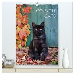 COUNTRY CATS (hochwertiger Premium Wandkalender 2024 DIN A2 hoch), Kunstdruck in Hochglanz von Menden,  Katho