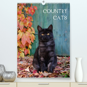 COUNTRY CATS (Premium, hochwertiger DIN A2 Wandkalender 2022, Kunstdruck in Hochglanz) von Menden,  Katho