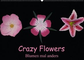 Crazy Flowers – Blumen mal anders (Wandkalender 2018 DIN A2 quer) von Nitzold-Briele,  Gudrun