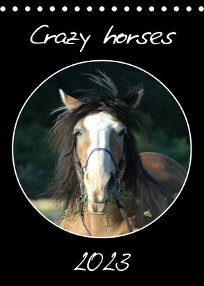 Crazy horses (Tischkalender 2023 DIN A5 hoch) von Lampert,  Claudia