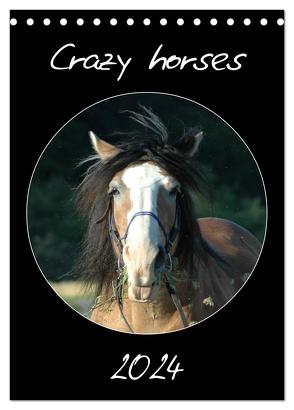 Crazy horses (Tischkalender 2024 DIN A5 hoch), CALVENDO Monatskalender von Lampert,  Claudia