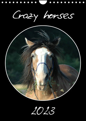 Crazy horses (Wandkalender 2023 DIN A4 hoch) von Lampert,  Claudia