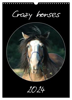 Crazy horses (Wandkalender 2024 DIN A3 hoch), CALVENDO Monatskalender von Lampert,  Claudia
