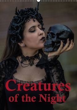 Creatures of the Night – Menschen in der Nacht (Wandkalender 2018 DIN A2 hoch) von Will,  Hans