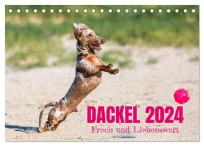 DACKEL 2024 Frech und Liebenwert (Tischkalender 2024 DIN A5 quer), CALVENDO Monatskalender von Mirsberger tierpfoto,  Annett