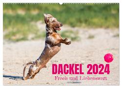 DACKEL 2024 Frech und Liebenwert (Wandkalender 2024 DIN A2 quer), CALVENDO Monatskalender von Mirsberger tierpfoto,  Annett