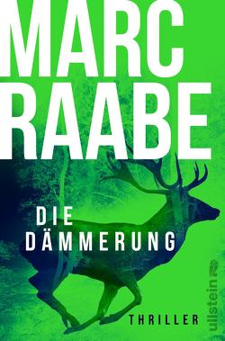 Dämmerung (Art Mayer-Serie 2) von Raabe,  Marc