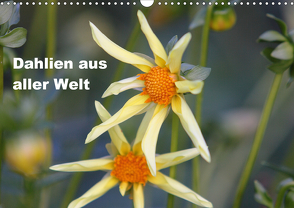 Dahlien aus aller Welt (Wandkalender 2021 DIN A3 quer) von Kiesewetter,  Michael